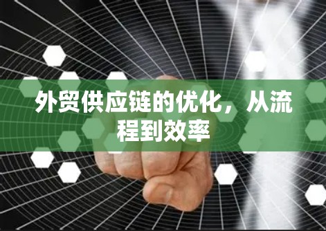 外贸供应链的优化，从流程到效率