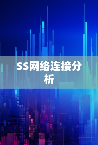 SS网络连接分析