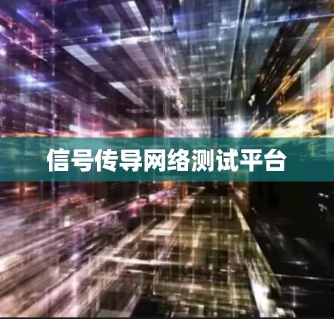 信号传导网络测试平台