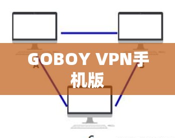 GOBOY VPN手机版