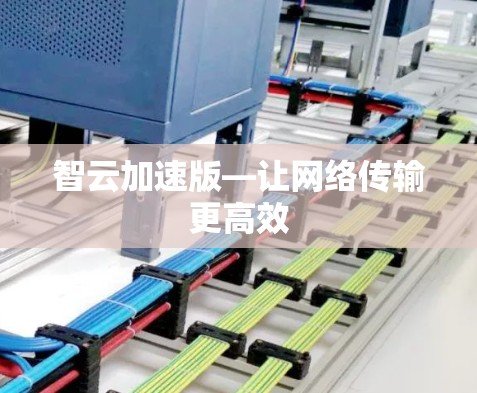 智云加速版—让网络传输更高效