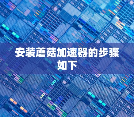 安装蘑菇加速器的步骤如下