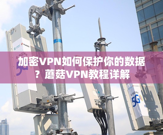 加密VPN如何保护你的数据？蘑菇VPN教程详解