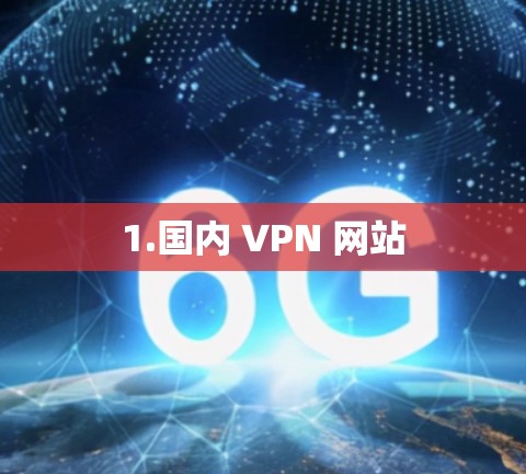 1.国内 VPN 网站