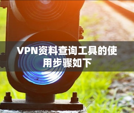 VPN资料查询工具的使用步骤如下