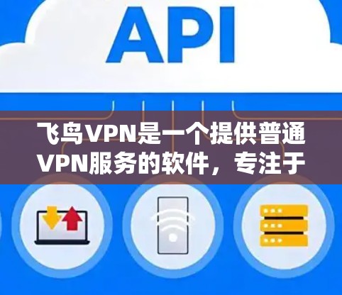 飞鸟VPN是一个提供普通VPN服务的软件，专注于提供加密、多点对点和24小时监控等功能的平台。以下是对飞鸟VPN的全面分析