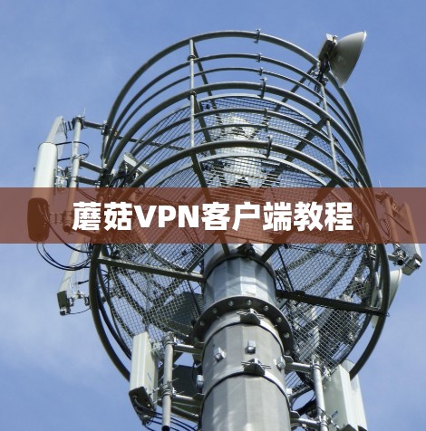 蘑菇VPN客户端教程
