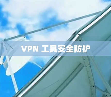VPN 工具安全防护