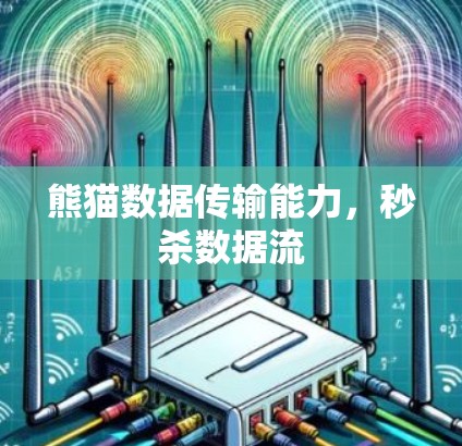 熊猫数据传输能力，秒杀数据流