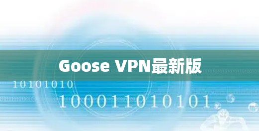 Goose VPN最新版