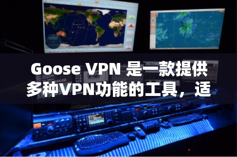 Goose VPN 是一款提供多种VPN功能的工具，适合用户在Web端访问VPN，同时也能通过HTTP或FTP端使用。以下是其主要功能的评测