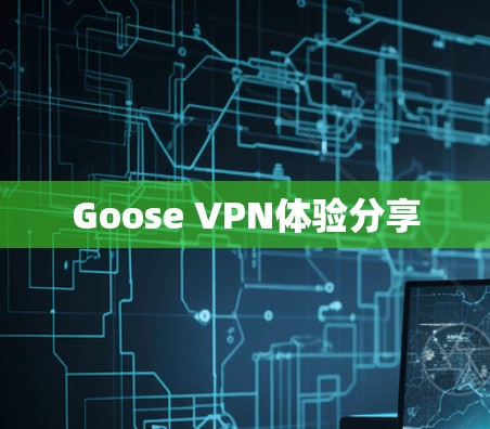 Goose VPN体验分享