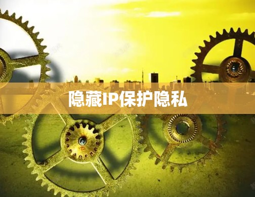 隐藏IP保护隐私