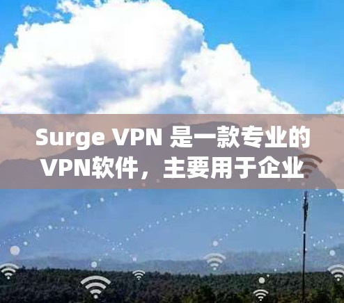 Surge VPN 是一款专业的VPN软件，主要用于企业级和非企业级用户。它提供多种VPN解决方案，包括加密、访问控制、安全性和个人用户功能