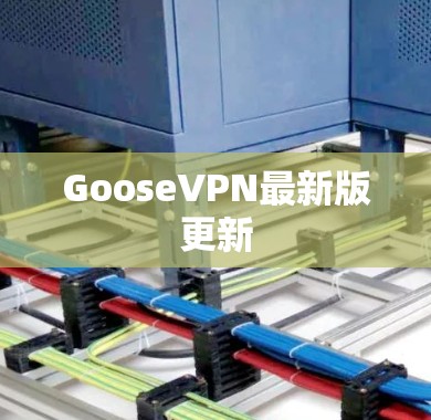 GooseVPN最新版更新