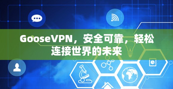 GooseVPN，安全可靠，轻松连接世界的未来