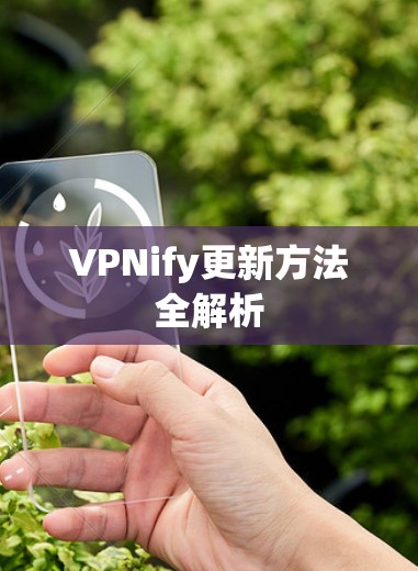 VPNify更新方法全解析