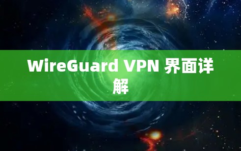 WireGuard VPN 界面详解